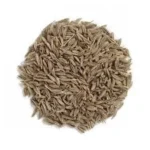 CUMIN WHOLE (100 GM)