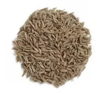 CUMIN WHOLE (100 GM)
