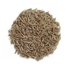 CUMIN WHOLE (100 GM)