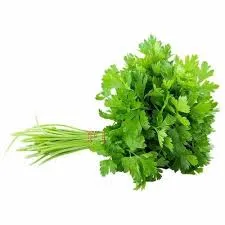 CORIANDER LEAVES LOOSE