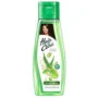 HAIR & CARE ALOE VERA  OLIVE OIL & GREEN TEA  (500 ML)